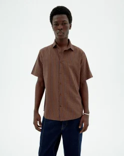 Camisa marrón rayas Tom