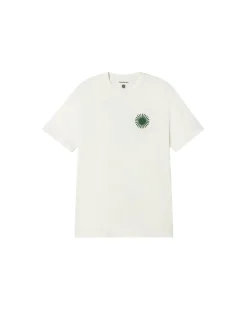 Camiseta blanca sol type espalda Aaron