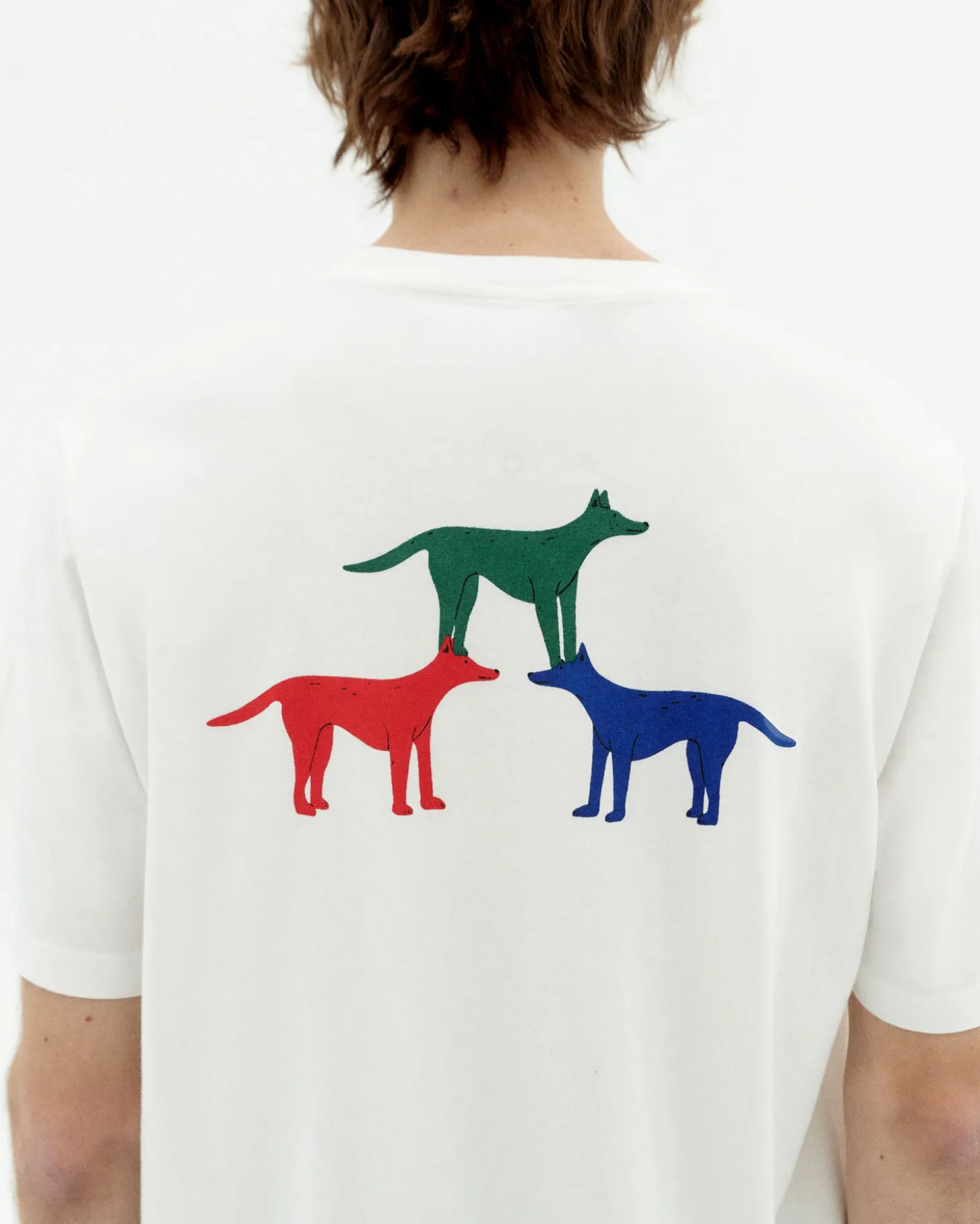 Camiseta perritos Zach