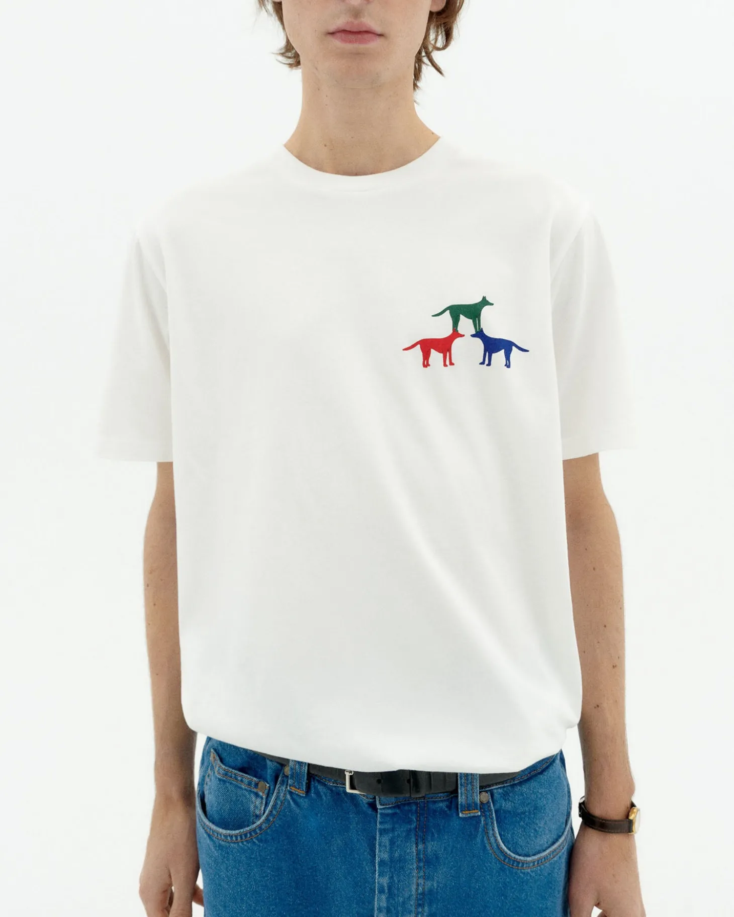 Camiseta perritos Zach