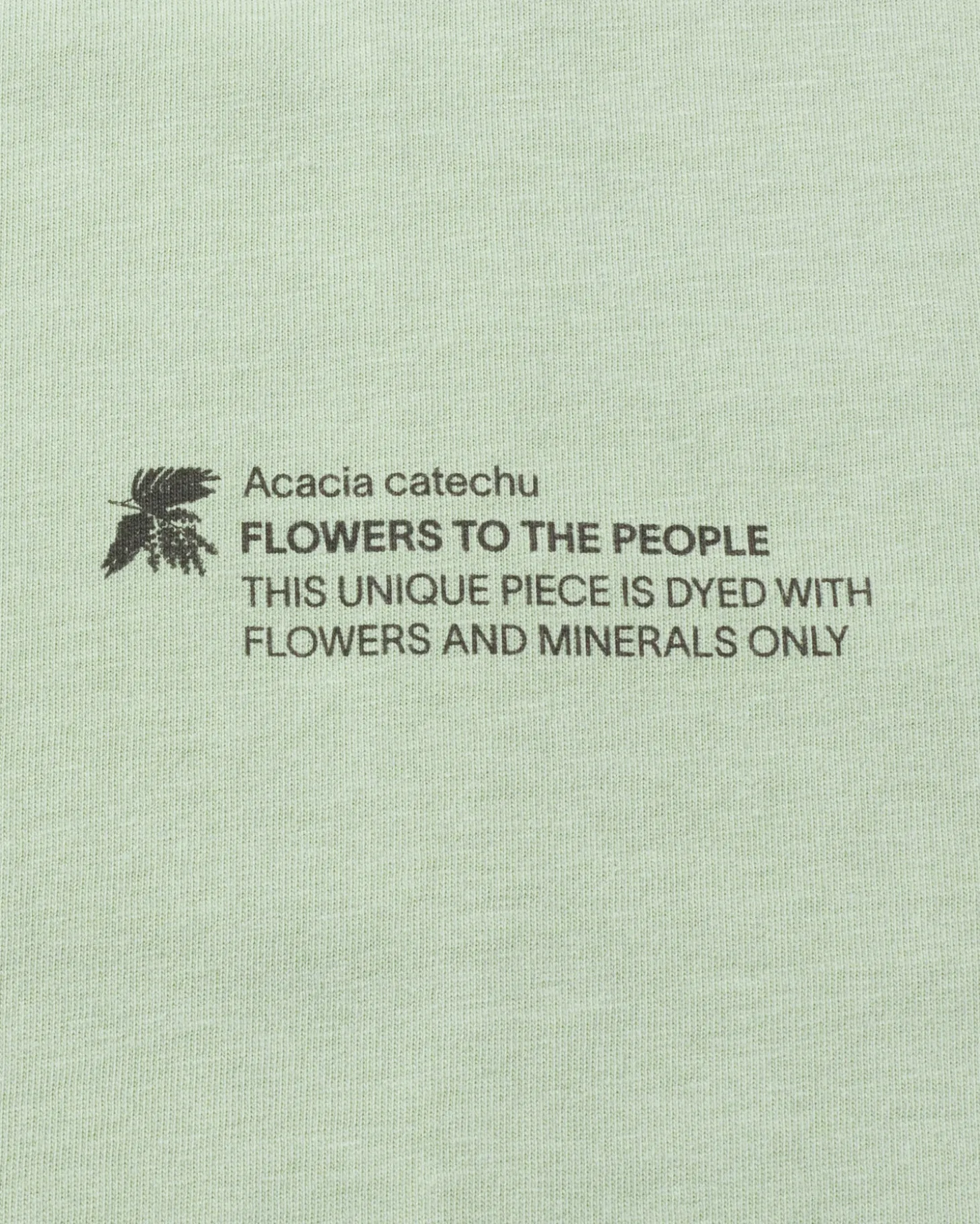 Camiseta unisex acacia tinte natural