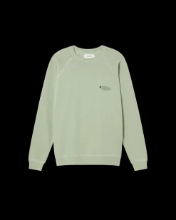 Sudadera unisex acacia tinte natural